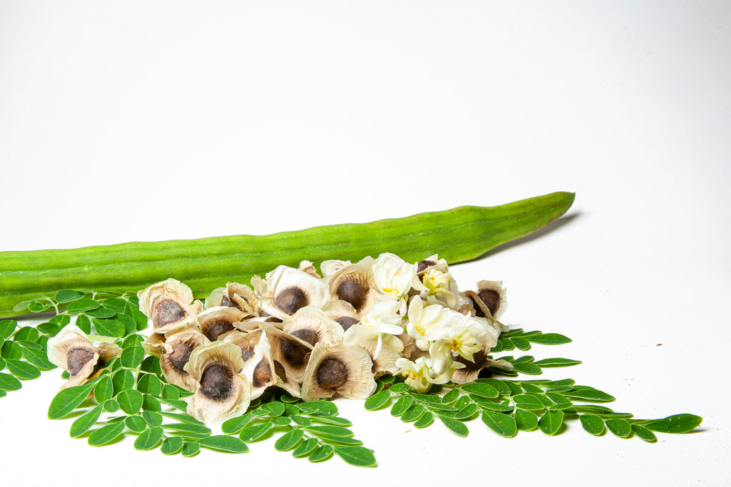 Moringa & Rosemary Scalp Growth Oil