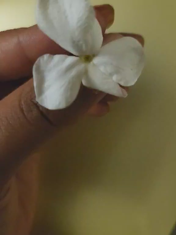 Jasmine Bloom Elixir, Body and Hair oil